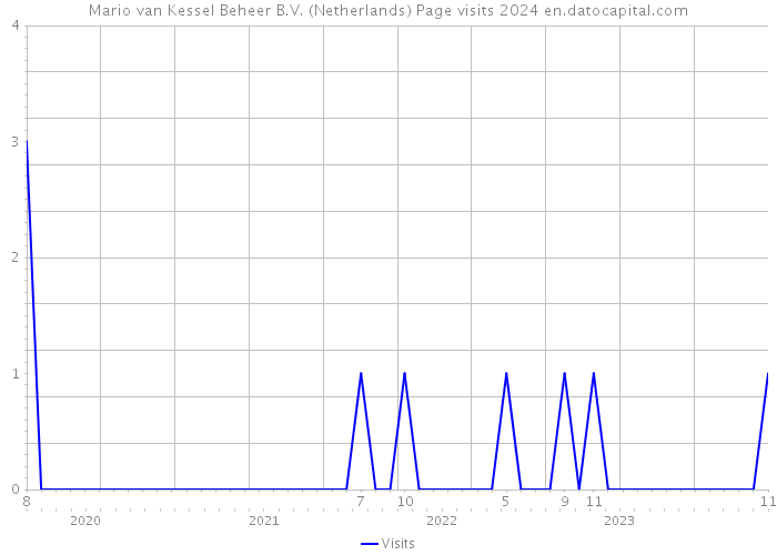 Mario van Kessel Beheer B.V. (Netherlands) Page visits 2024 