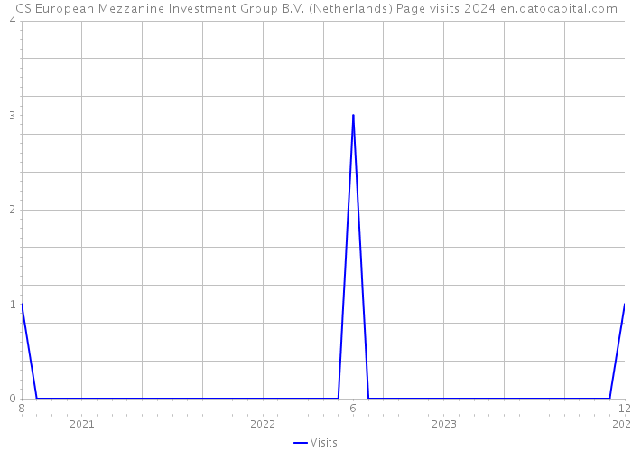 GS European Mezzanine Investment Group B.V. (Netherlands) Page visits 2024 