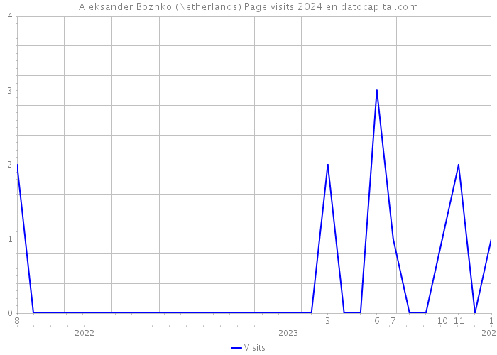 Aleksander Bozhko (Netherlands) Page visits 2024 