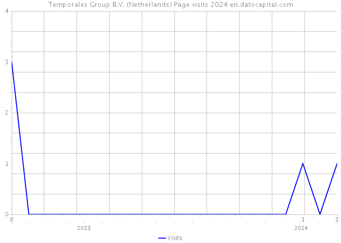 Temporales Group B.V. (Netherlands) Page visits 2024 
