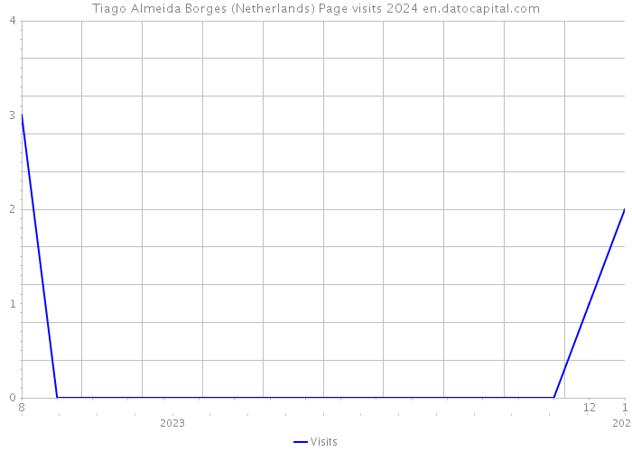 Tiago Almeida Borges (Netherlands) Page visits 2024 