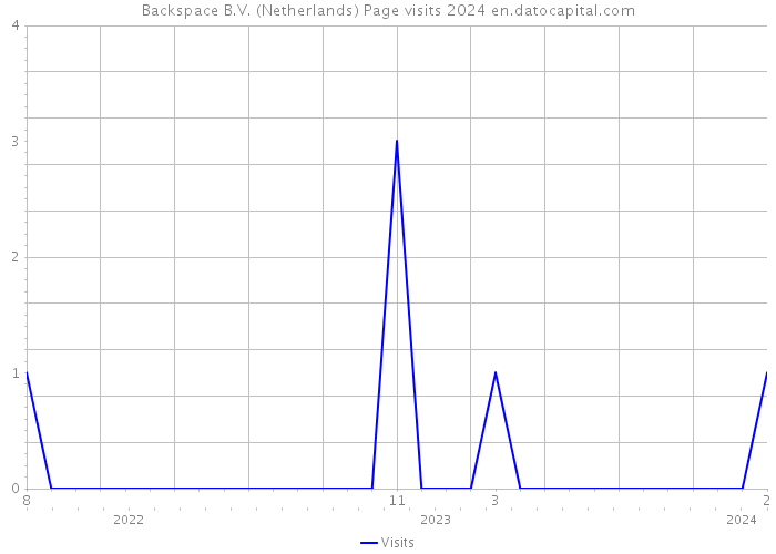 Backspace B.V. (Netherlands) Page visits 2024 