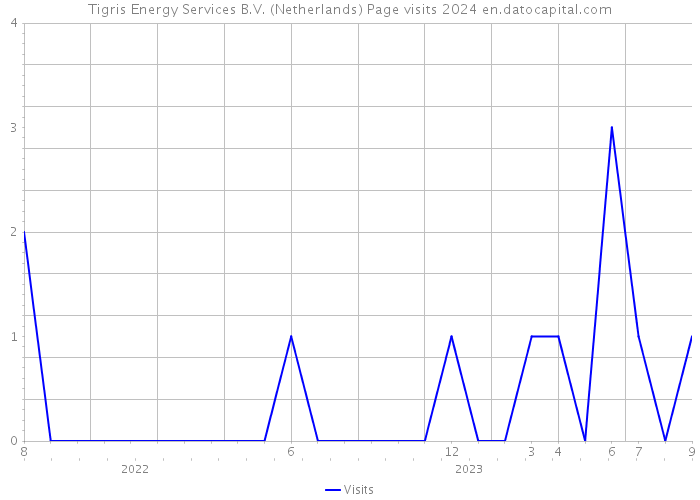 Tigris Energy Services B.V. (Netherlands) Page visits 2024 