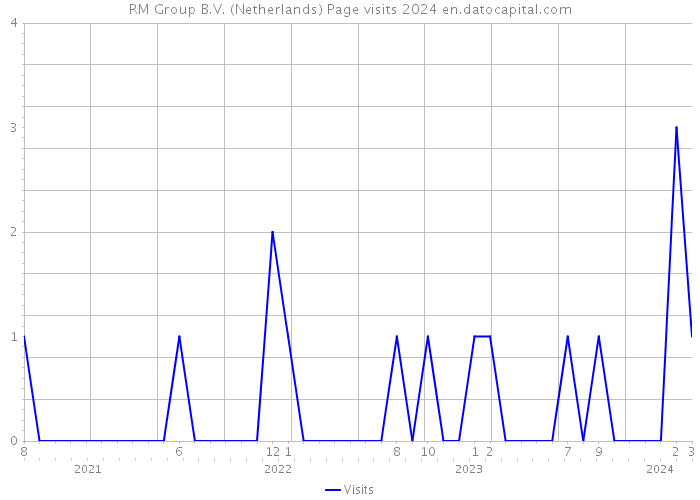 RM Group B.V. (Netherlands) Page visits 2024 
