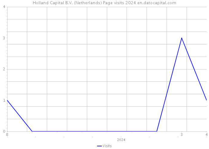 Holland Capital B.V. (Netherlands) Page visits 2024 