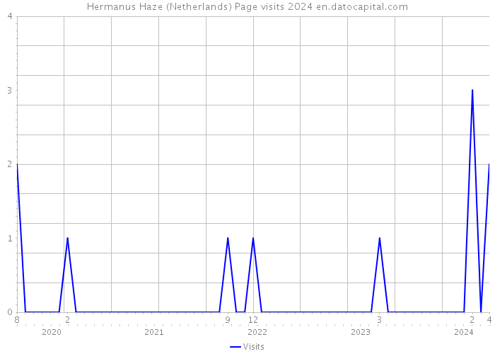 Hermanus Haze (Netherlands) Page visits 2024 