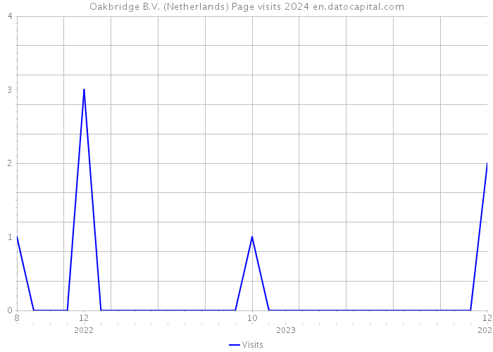 Oakbridge B.V. (Netherlands) Page visits 2024 