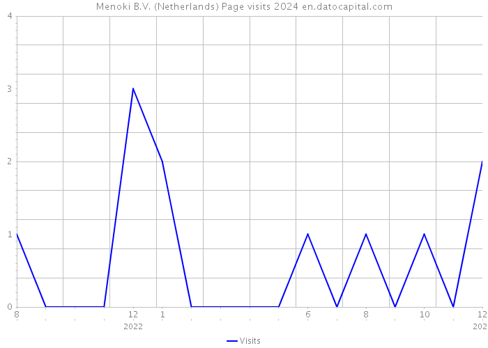 Menoki B.V. (Netherlands) Page visits 2024 
