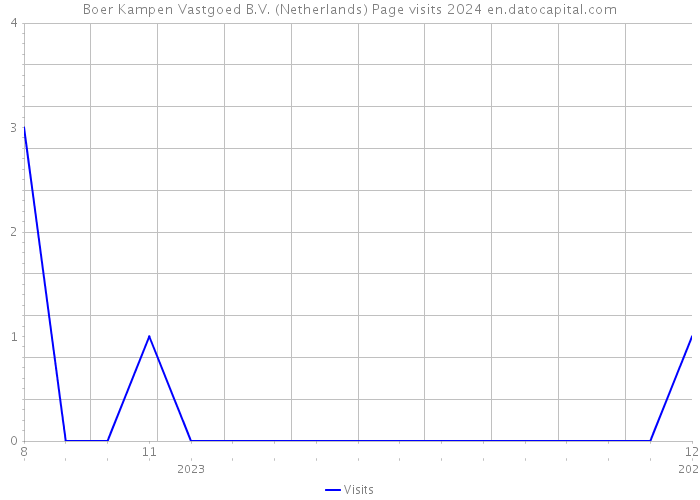 Boer Kampen Vastgoed B.V. (Netherlands) Page visits 2024 