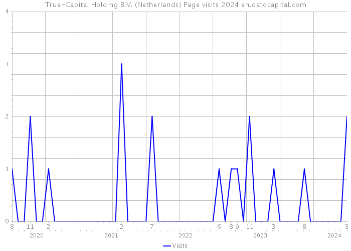 True-Capital Holding B.V. (Netherlands) Page visits 2024 