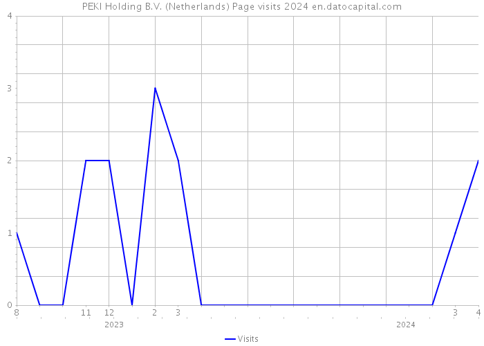PEKI Holding B.V. (Netherlands) Page visits 2024 