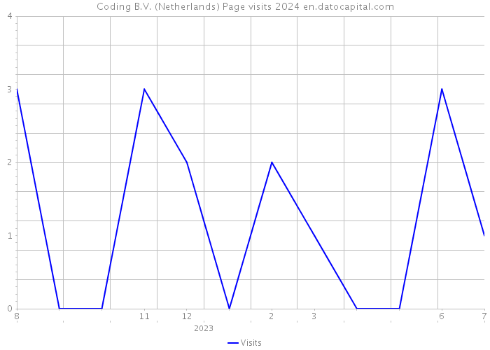 Coding B.V. (Netherlands) Page visits 2024 