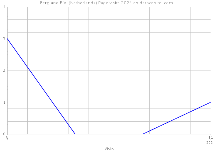 Bergland B.V. (Netherlands) Page visits 2024 