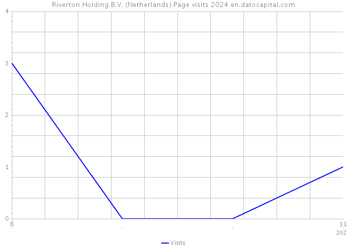 Riverton Holding B.V. (Netherlands) Page visits 2024 
