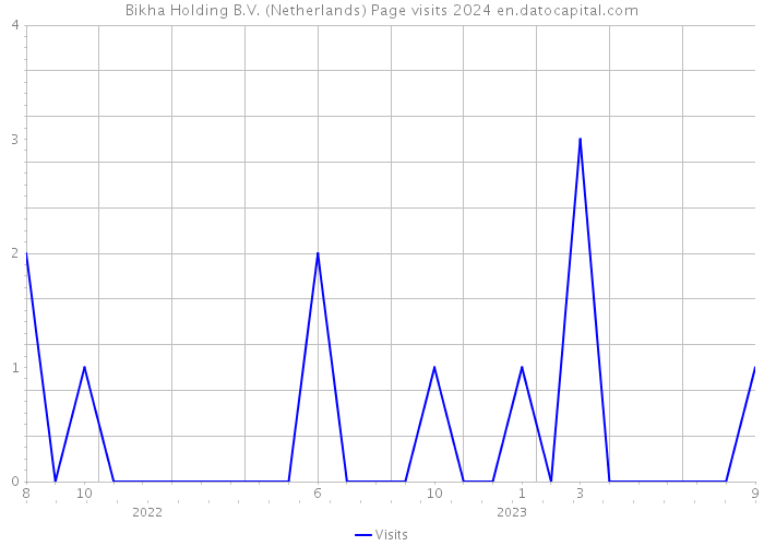 Bikha Holding B.V. (Netherlands) Page visits 2024 