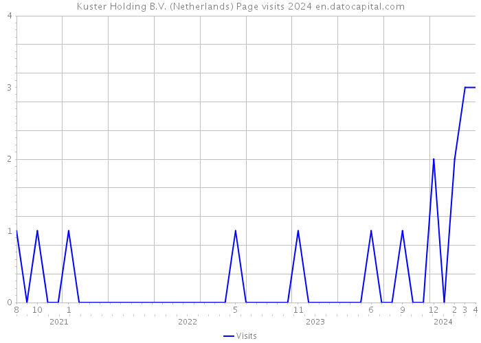 Kuster Holding B.V. (Netherlands) Page visits 2024 