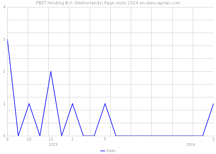 FBST Holding B.V. (Netherlands) Page visits 2024 