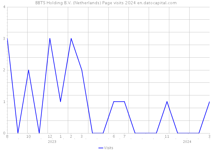 BBTS Holding B.V. (Netherlands) Page visits 2024 