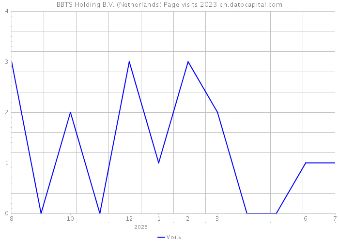 BBTS Holding B.V. (Netherlands) Page visits 2023 