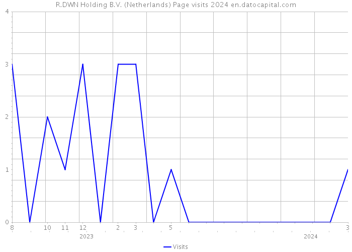 R.DWN Holding B.V. (Netherlands) Page visits 2024 