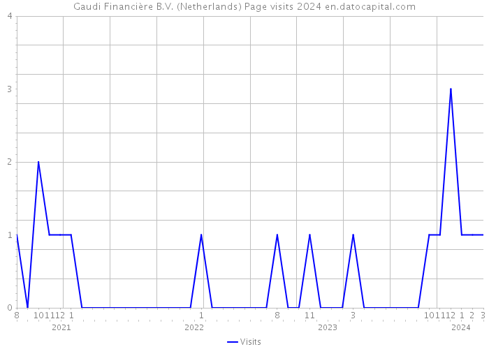 Gaudi Financière B.V. (Netherlands) Page visits 2024 
