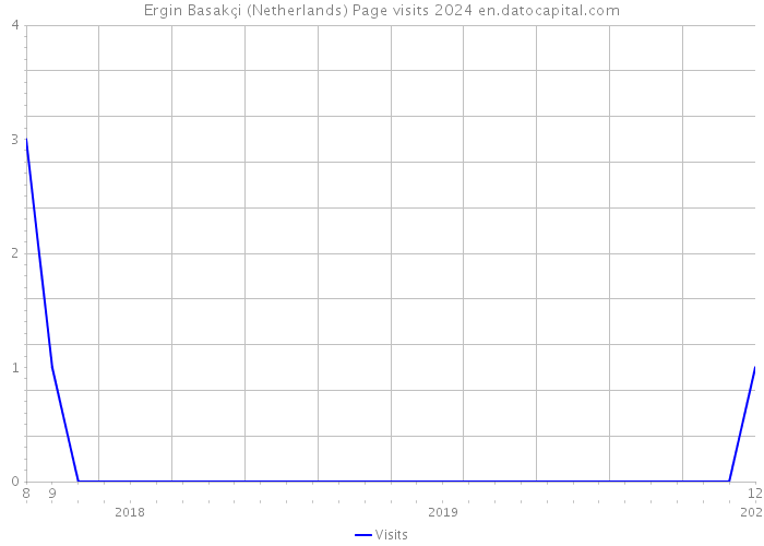 Ergin Basakçi (Netherlands) Page visits 2024 
