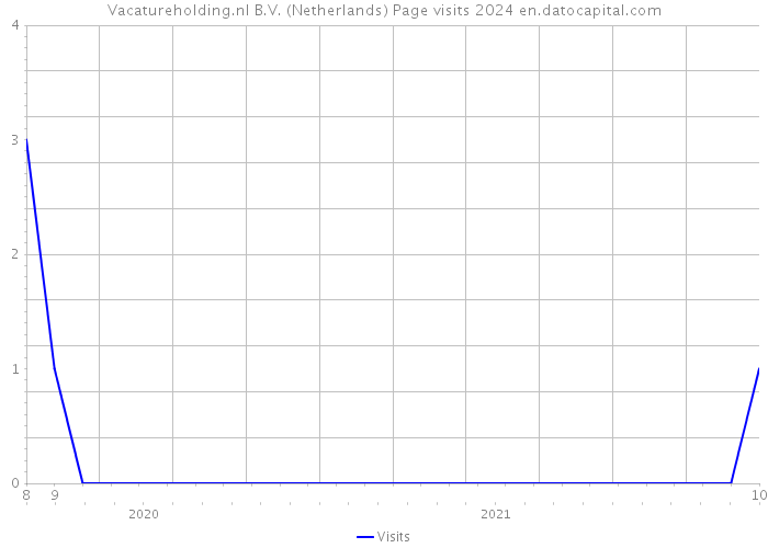 Vacatureholding.nl B.V. (Netherlands) Page visits 2024 
