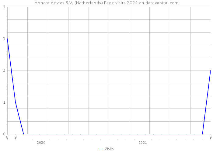 Ahneta Advies B.V. (Netherlands) Page visits 2024 