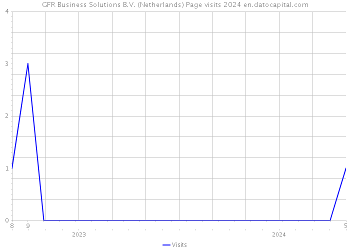 GFR Business Solutions B.V. (Netherlands) Page visits 2024 