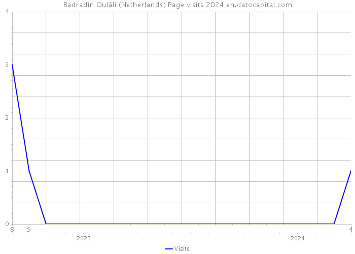 Badradin Oulâli (Netherlands) Page visits 2024 