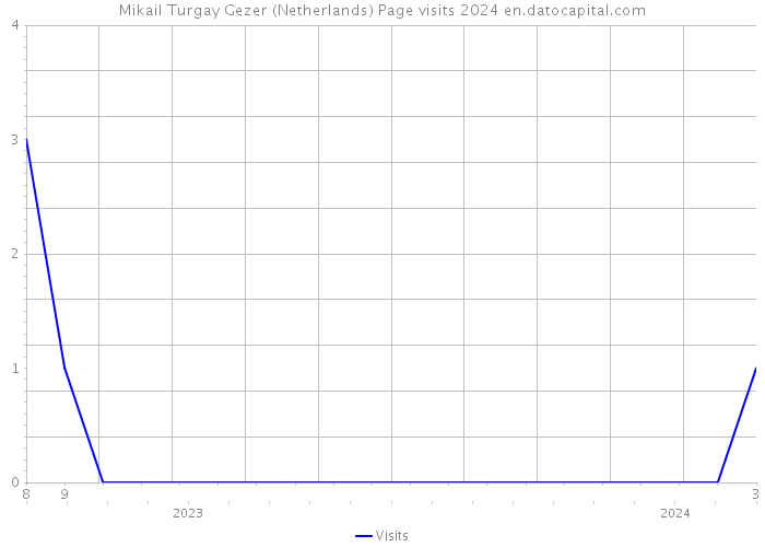 Mikail Turgay Gezer (Netherlands) Page visits 2024 