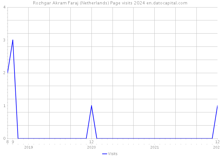 Rozhgar Akram Faraj (Netherlands) Page visits 2024 