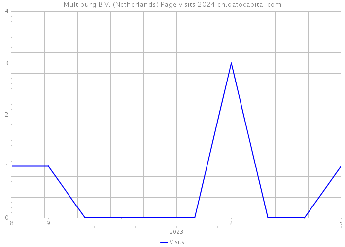 Multiburg B.V. (Netherlands) Page visits 2024 