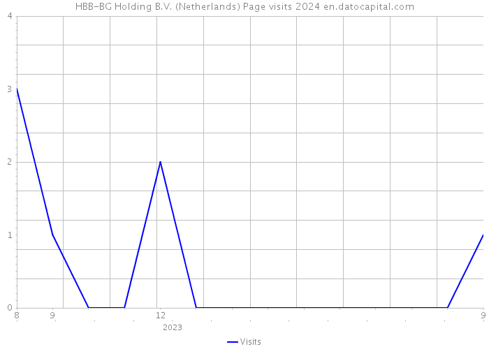 HBB-BG Holding B.V. (Netherlands) Page visits 2024 