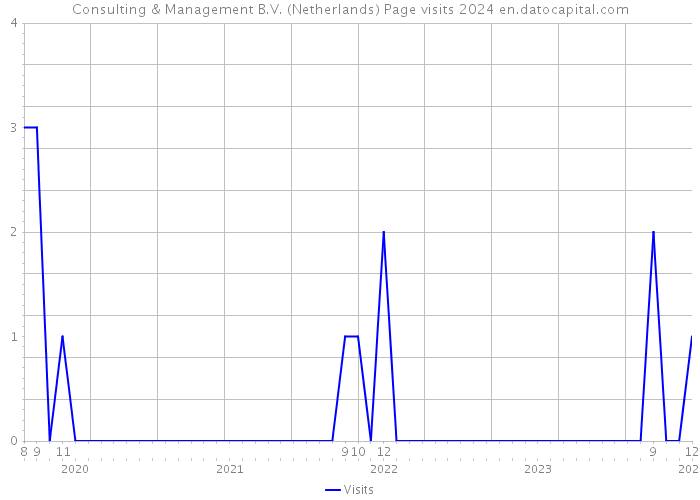 Consulting & Management B.V. (Netherlands) Page visits 2024 
