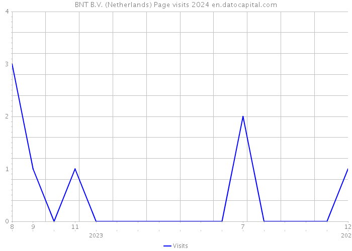 BNT B.V. (Netherlands) Page visits 2024 