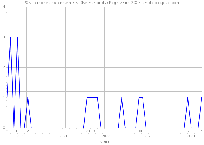 PSN Personeelsdiensten B.V. (Netherlands) Page visits 2024 