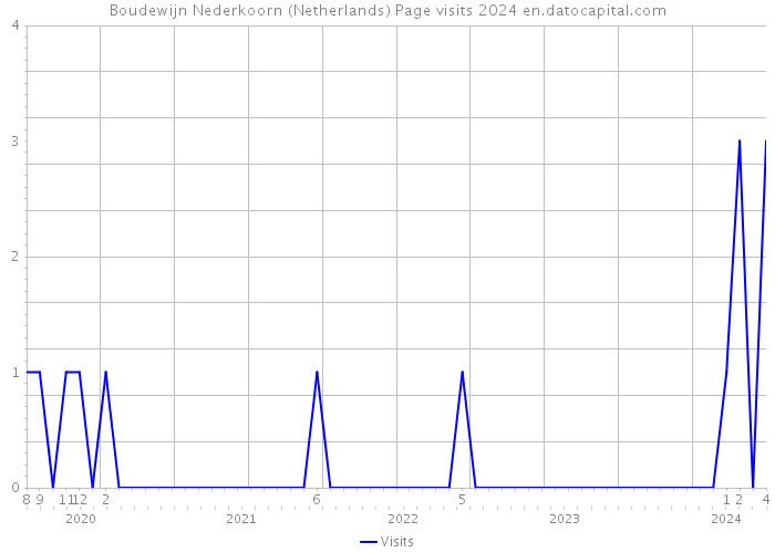 Boudewijn Nederkoorn (Netherlands) Page visits 2024 
