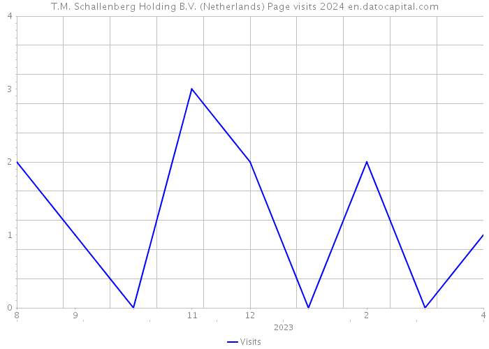 T.M. Schallenberg Holding B.V. (Netherlands) Page visits 2024 