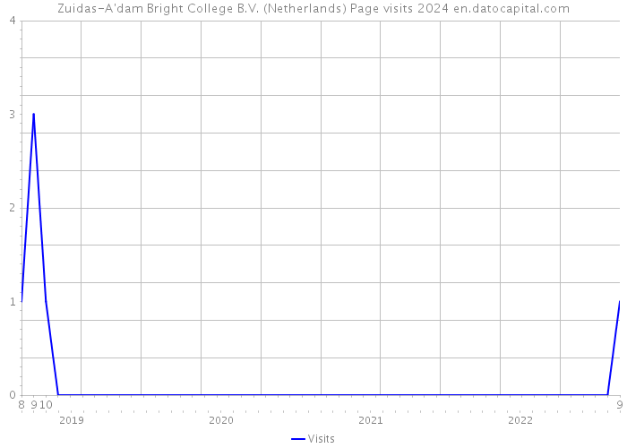 Zuidas-A'dam Bright College B.V. (Netherlands) Page visits 2024 