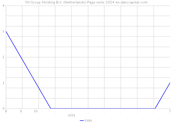 YH Group Holding B.V. (Netherlands) Page visits 2024 
