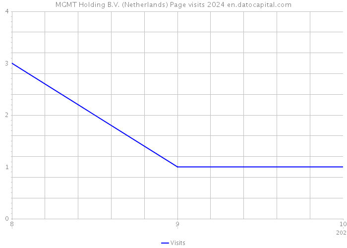 MGMT Holding B.V. (Netherlands) Page visits 2024 