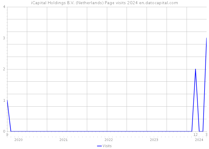 iCapital Holdings B.V. (Netherlands) Page visits 2024 