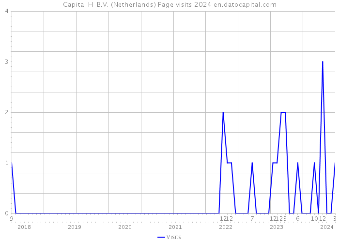 Capital H B.V. (Netherlands) Page visits 2024 