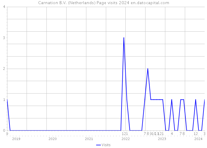 Carnation B.V. (Netherlands) Page visits 2024 