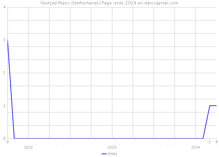 Nedzad Masic (Netherlands) Page visits 2024 