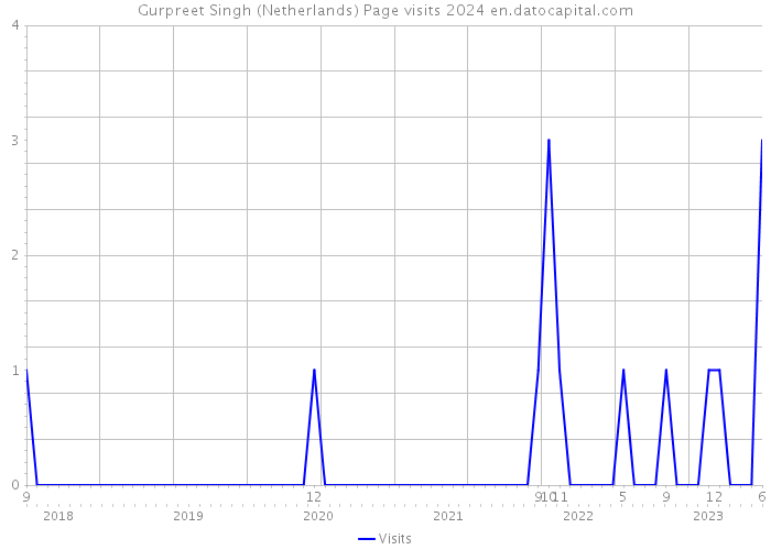 Gurpreet Singh (Netherlands) Page visits 2024 