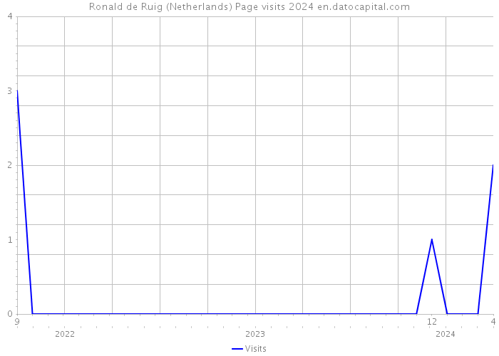 Ronald de Ruig (Netherlands) Page visits 2024 