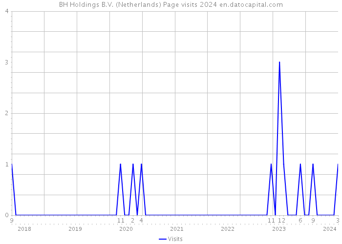 BH Holdings B.V. (Netherlands) Page visits 2024 