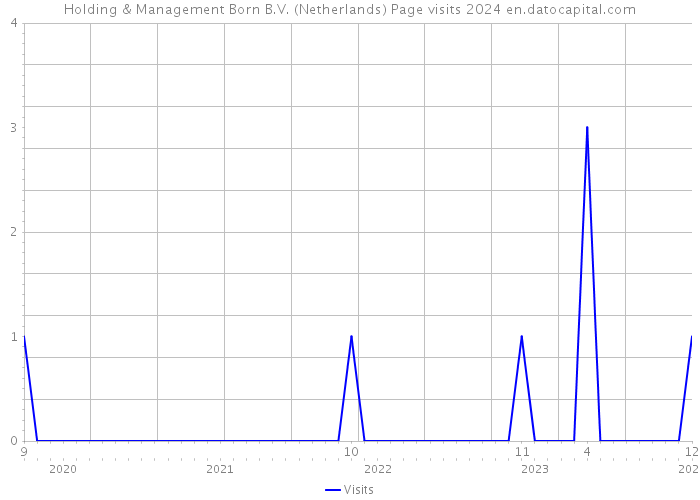 Holding & Management Born B.V. (Netherlands) Page visits 2024 